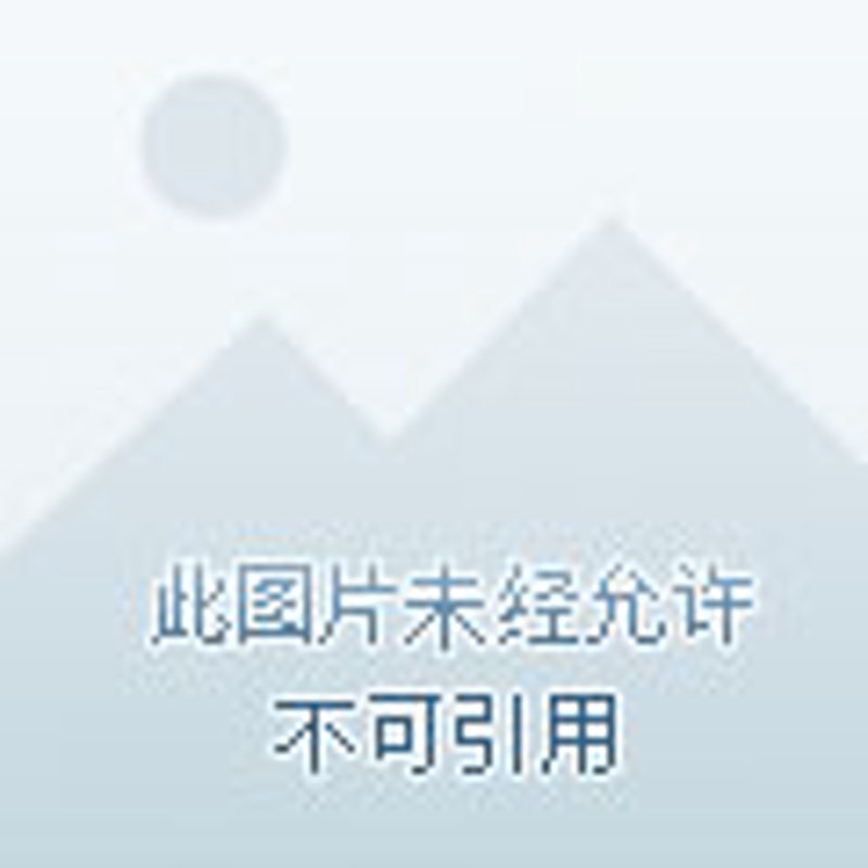 厦门网站建设:助力本地企业打造数字化蓝图